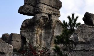 綦江万盛 綦江万盛